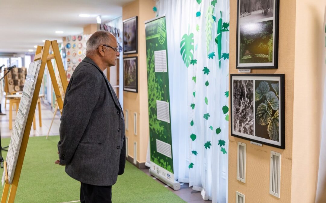 Exhibition about the Great Forest opened at the New Town Hall