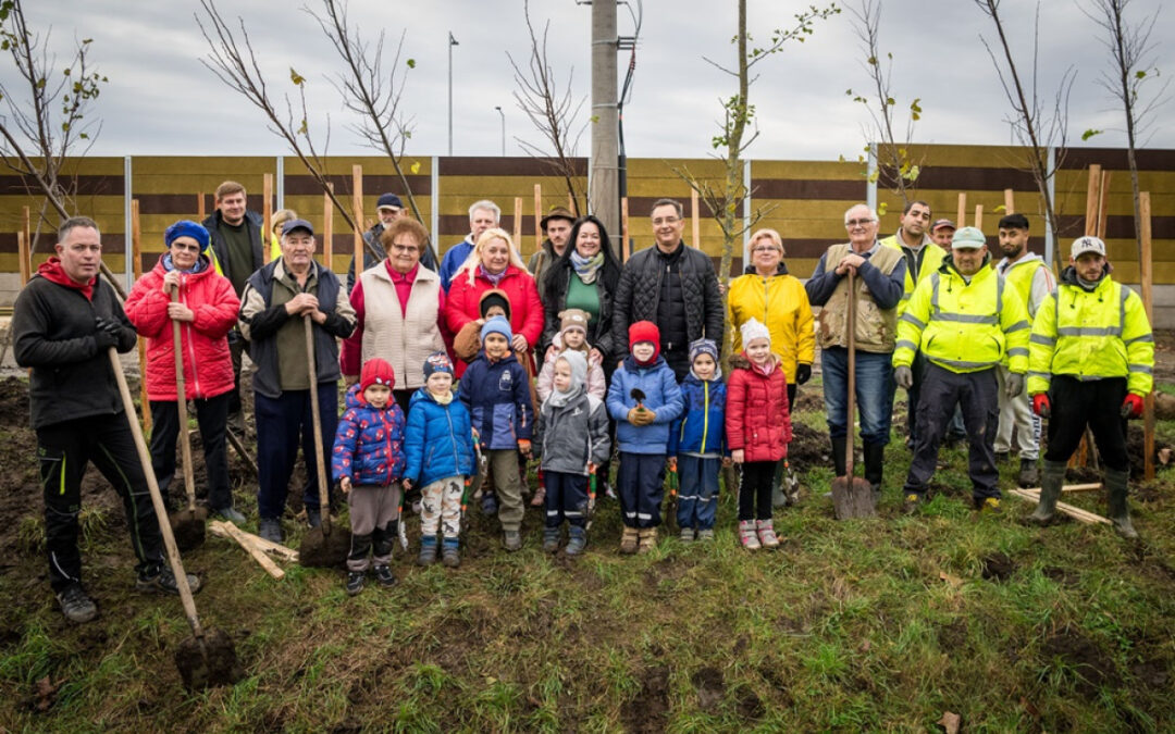 The urban tree planting programme continued in Kismacs