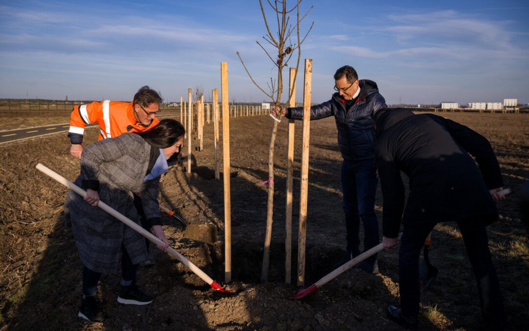 Afforestation programme has started in the Northwest Economic Zone