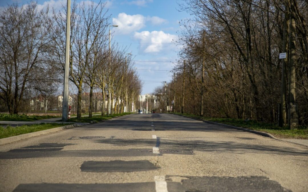 The initial section of the road leading to the Pallag Housing Estate has been asphalted