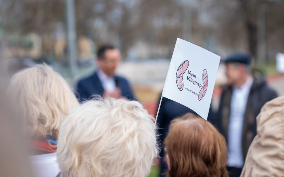 Thematic walk on the occasion of World Kidney Day