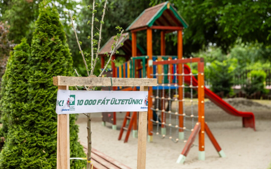Tree planting at Százszorszép Kindergarten