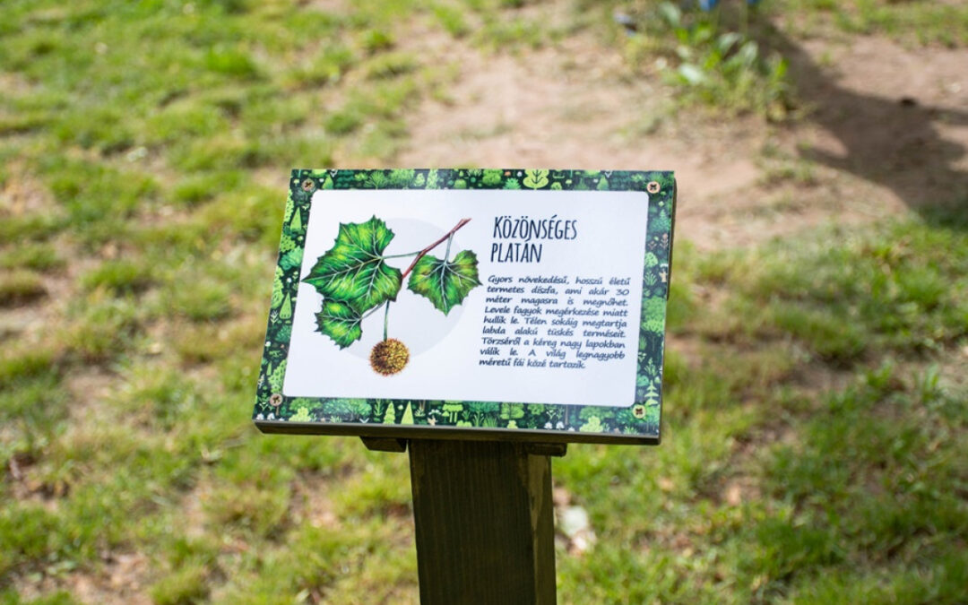 Children of Faragó Street  Kindergarten can learn a green perspective already at a young age