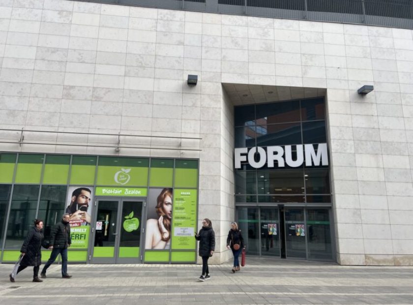 “Into the Wild” Adventures