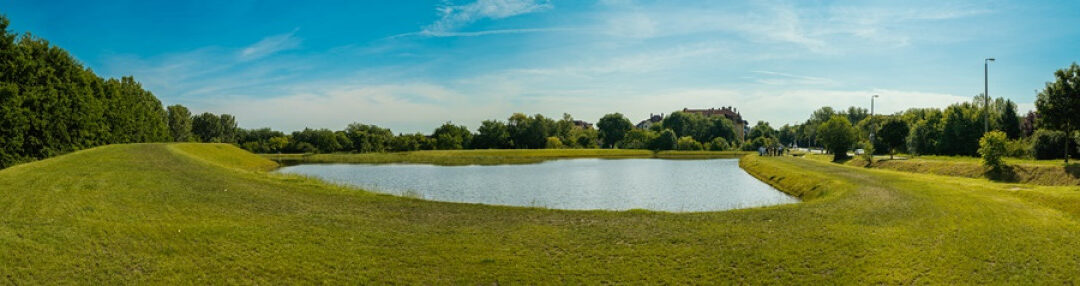 The lake area on Vezér Street was designed together with the citizens