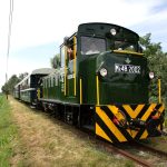 The Zsuzsi Forest Railway turns 142 years old