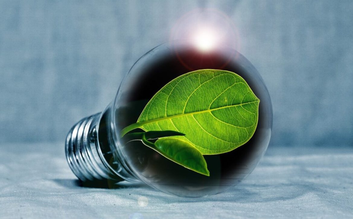 Green-energy-will-be-generated-in-the-future-from-green-kitchen-waste-in-Debrecen_Debrecen_Hungary-1080×675