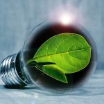 The frequency of garden green waste collection in Debrecen changes in the summer season