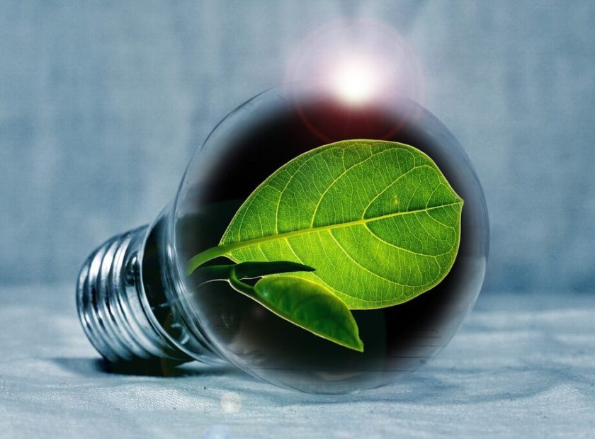 Green-energy-will-be-generated-in-the-future-from-green-kitchen-waste-in-Debrecen_Debrecen_Hungary-1080×675