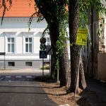 Large-scale asphalting works on Tóth Árpád Street completed