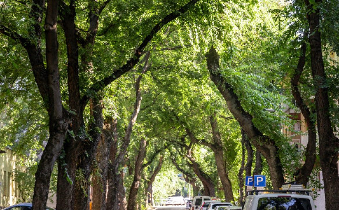 Large-scale asphalting of Tímár Street completed_Debrecen_Hungary