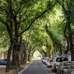 Large-scale asphalting of Tímár Street completed