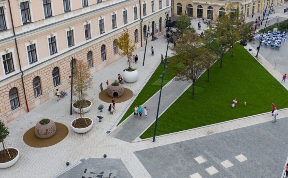 New trees to replace fungus-infested trees on Dósa nádor Square_Debrecen_Hungary