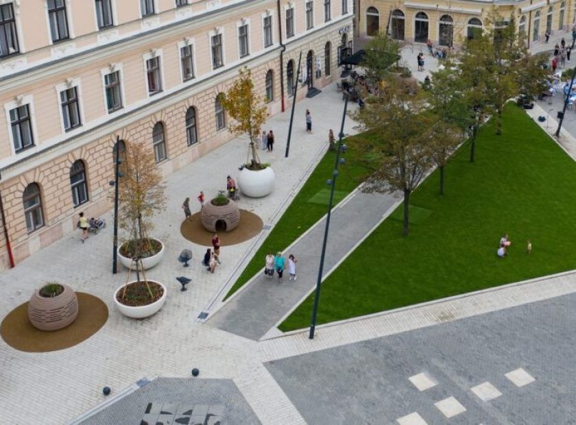 New trees to replace fungus-infested trees on Dósa nádor Square_Debrecen_Hungary