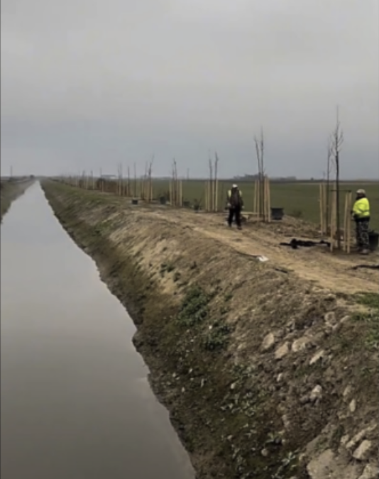 The large-scale afforestation program along the Tócó stream continues