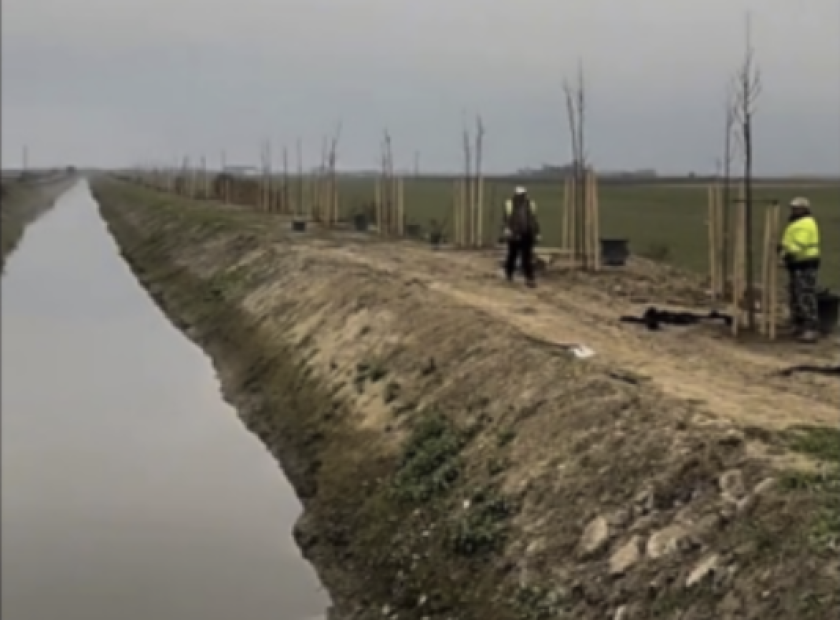 The large-scale afforestation program along the Tócó stream continues_Debrecen_Hungary