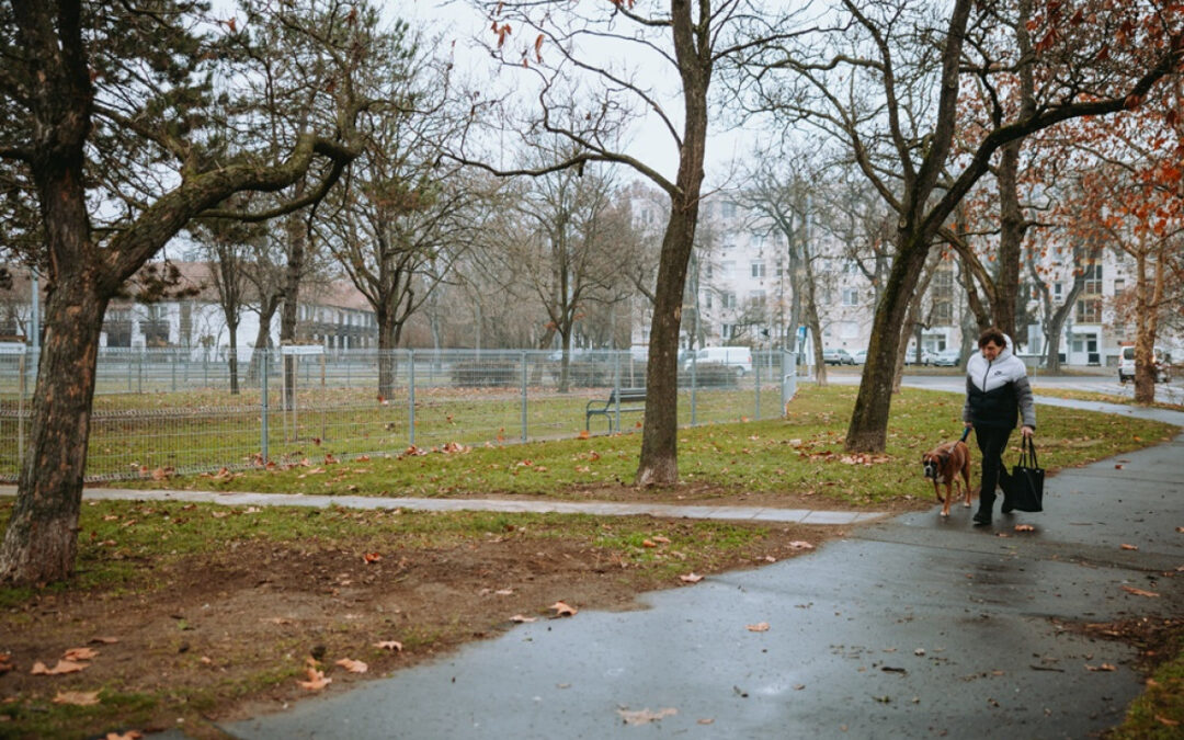 The Lehel Street dog run is ready