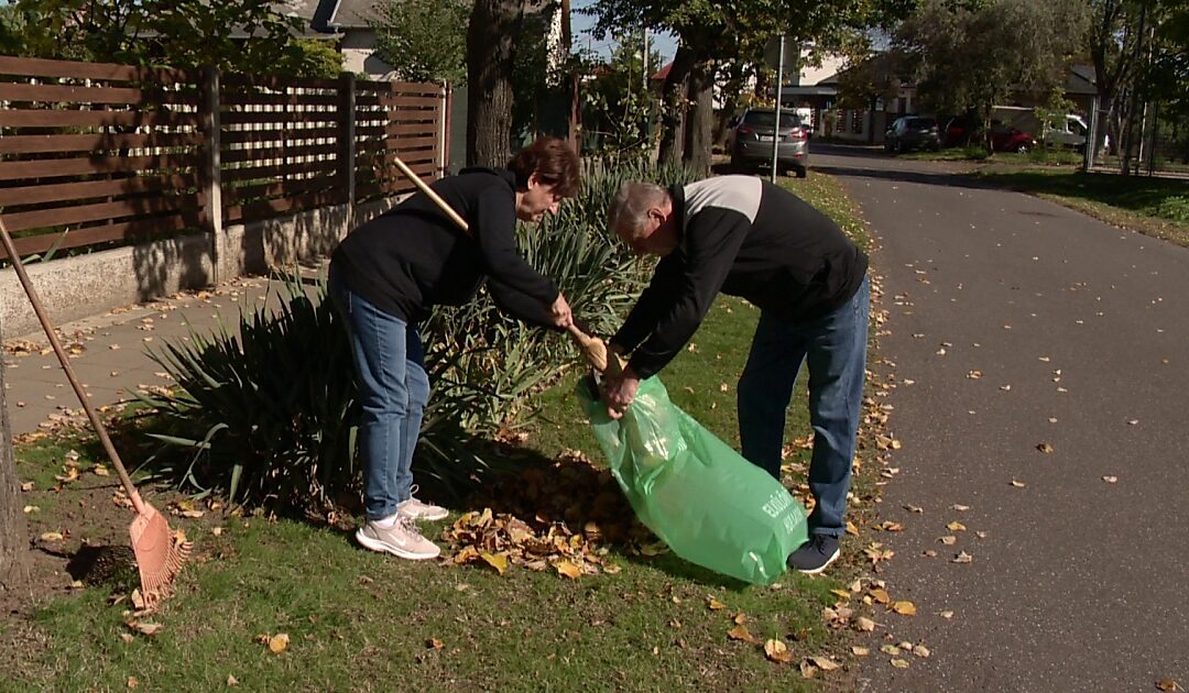 Green bag collection in Debrecen finished this year