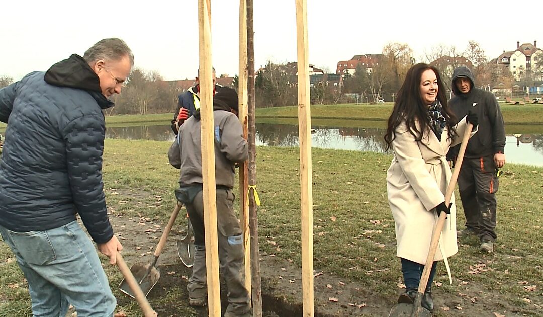 More trees planted in Debrecen