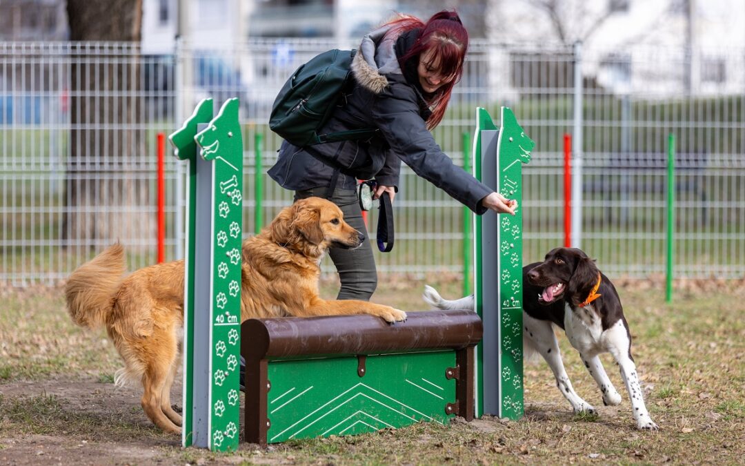 Debrecen has another dog run