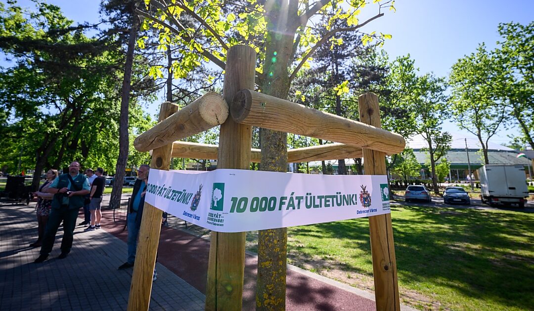 “Adopt a Tree” programme brings environmental protection closer to the people of Debrecen