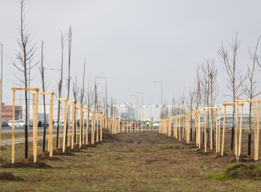 Community tree planting – We are together Debrecen! _Debrecen_Hungary