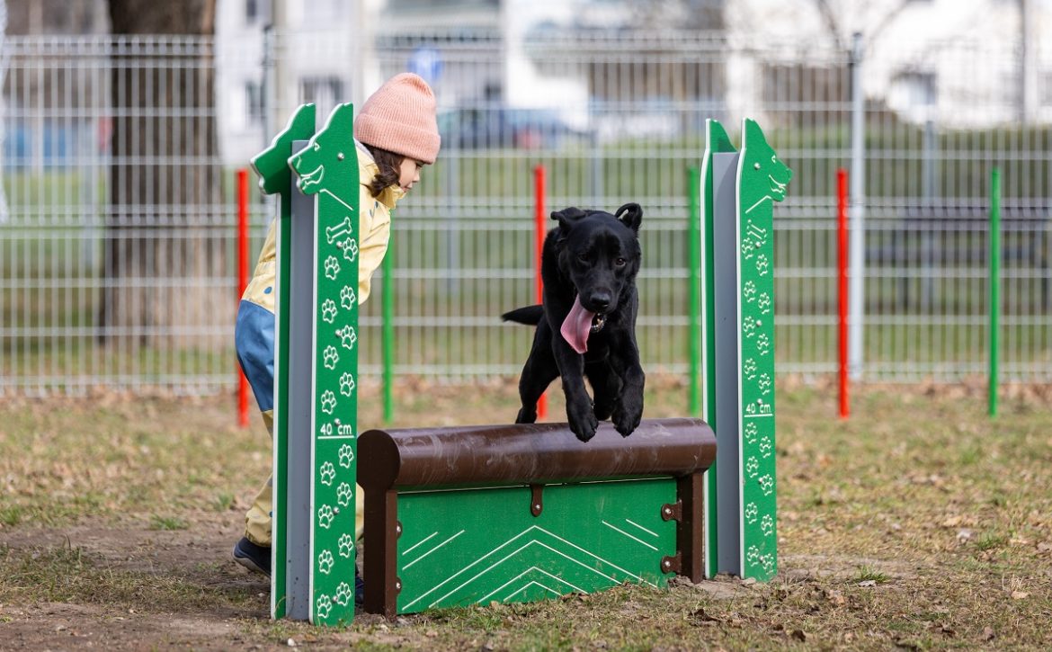 Debrecen has another dog run_Debrecen_Hungary
