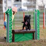 Debrecen has another dog run