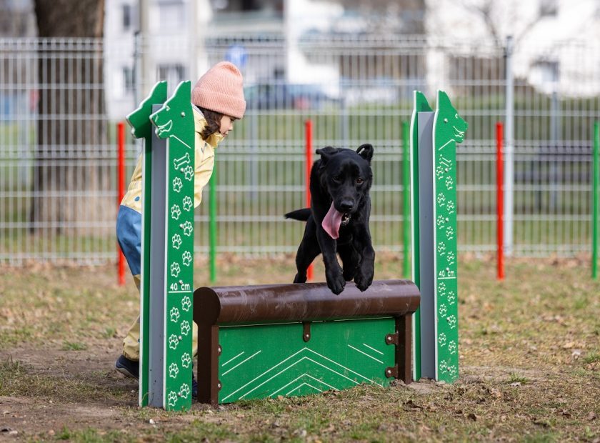 Debrecen has another dog run_Debrecen_Hungary