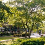 Pedestrians Can Now Use the Renovated Bridge Over Lake Békás