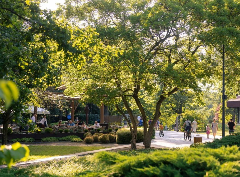 Debrecen4U – Debrecen – Hungary – Great Forest -1