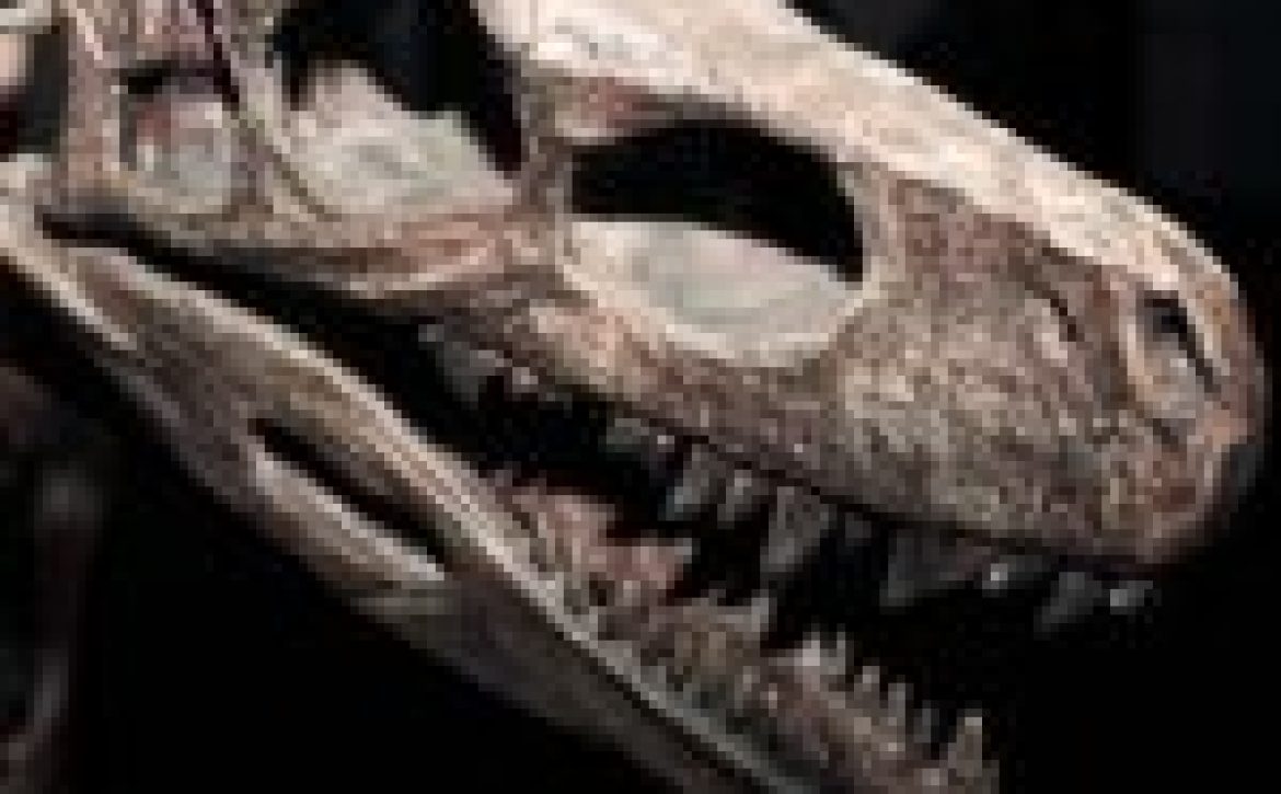 Fourteen entries received the Hungarian Natural History Museum in Debrecen