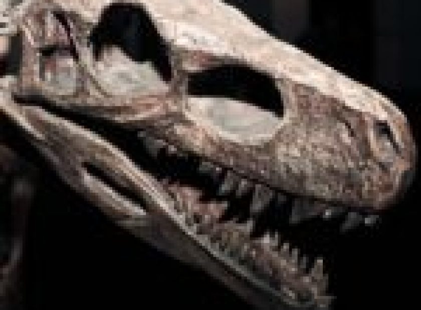 Fourteen entries received the Hungarian Natural History Museum in Debrecen