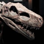Fourteen entries received the Hungarian Natural History Museum in Debrecen