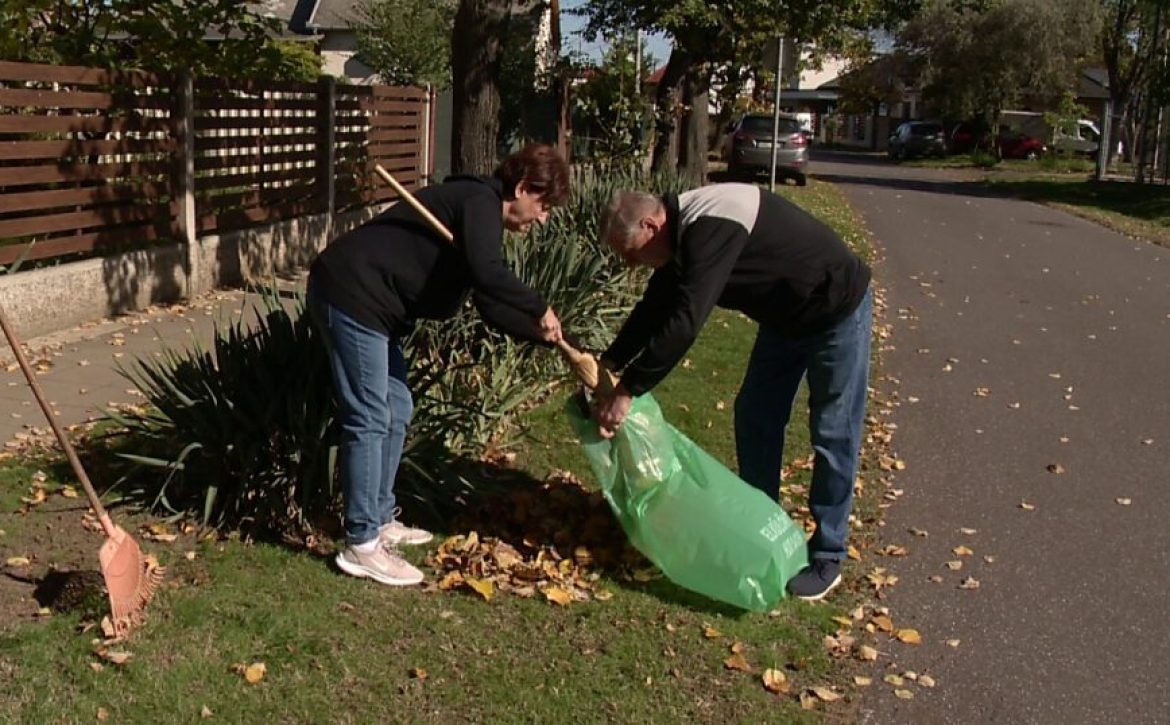 Green waste is now collected by AKSD