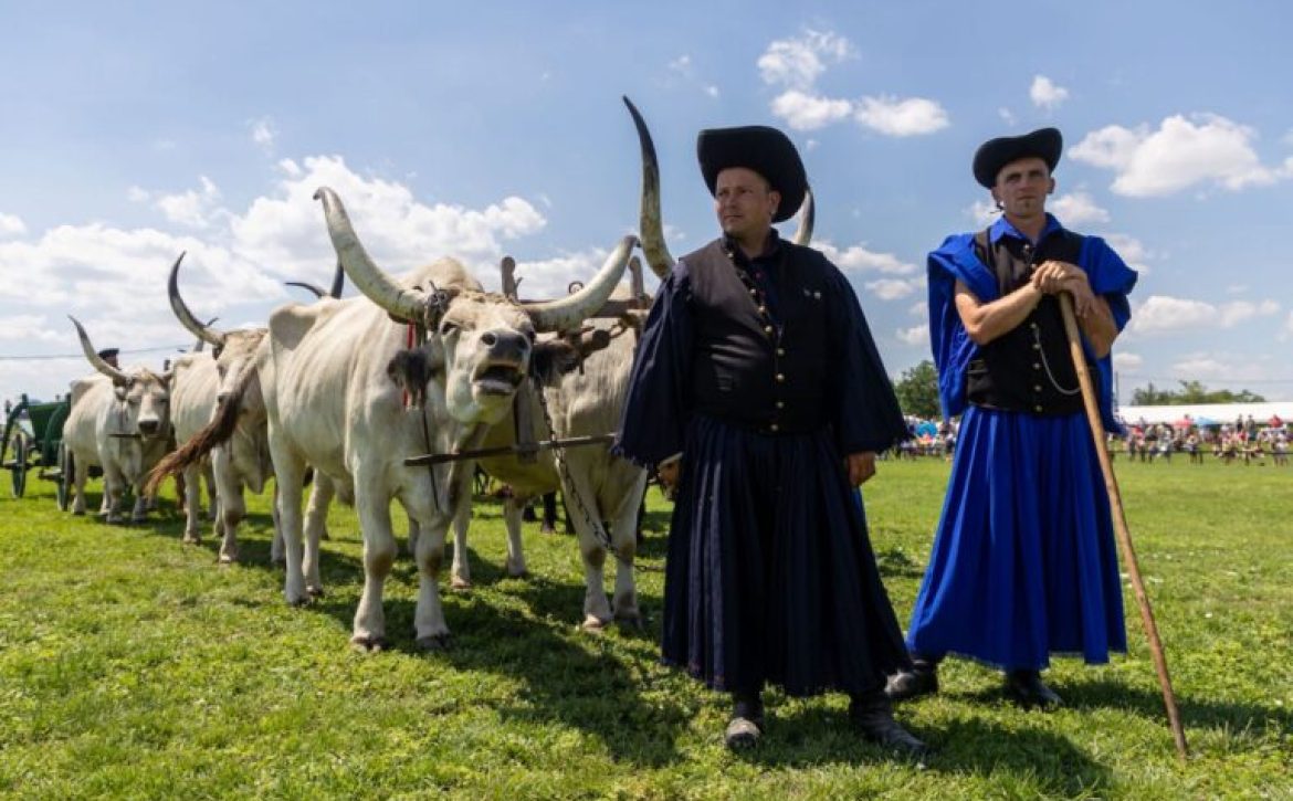 Hortobagy-Equestrian-Days-2023-1-768×513