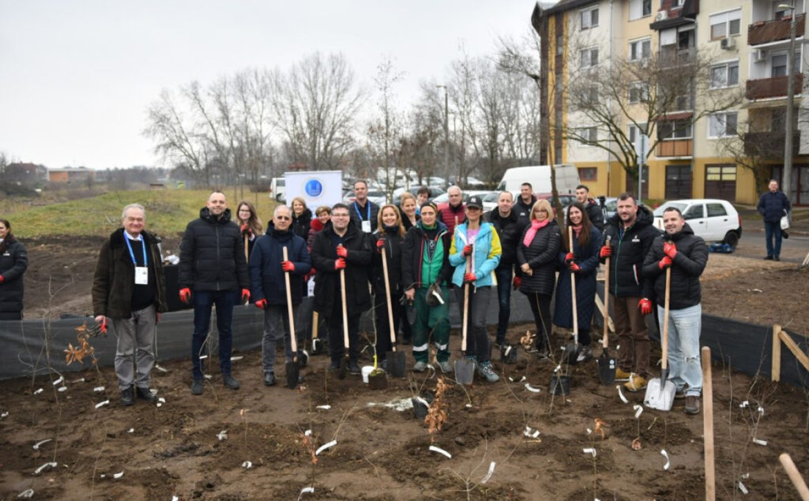 Small forest to be created from saplings and shrubs planted in Tócóvölgy