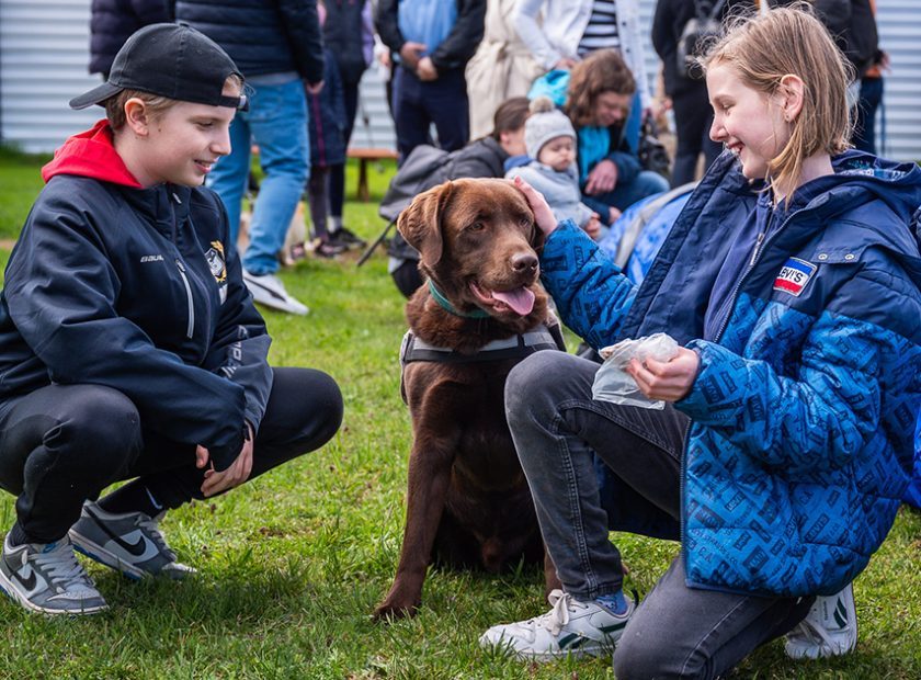 Debrecen’s first therapy dog park opened its doors