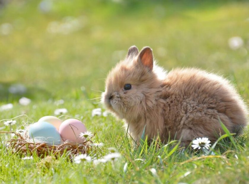 Easter Debrecen