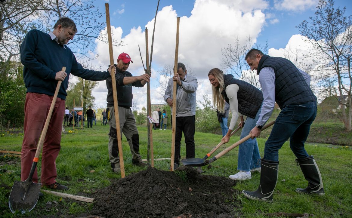 Two hundred trees adopted in Debrecen