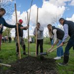 Two hundred trees adopted in Debrecen