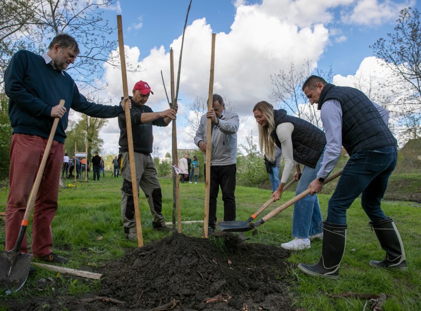 Two hundred trees adopted in Debrecen