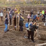 "Adopt a tree!" volunteering programme has started in Debrecen