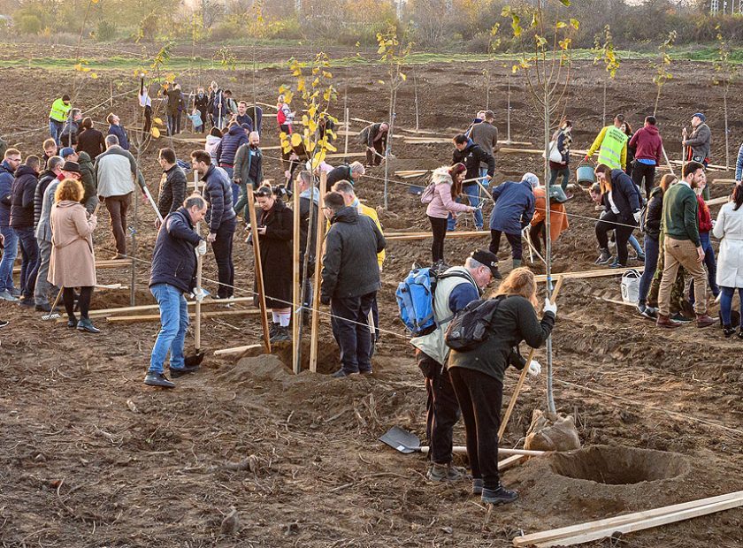 Volunteering programme, Adopt a tree! has started in Debrecen
