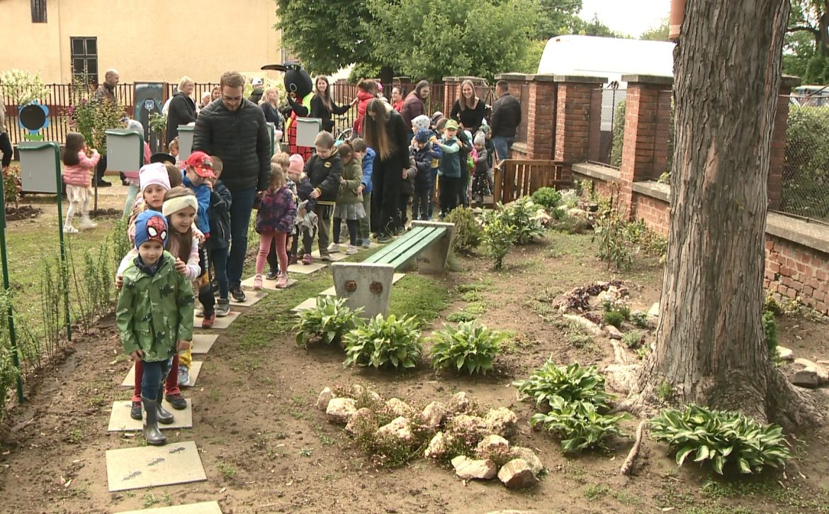 A bird walk was created in the Debrecen kindergarten