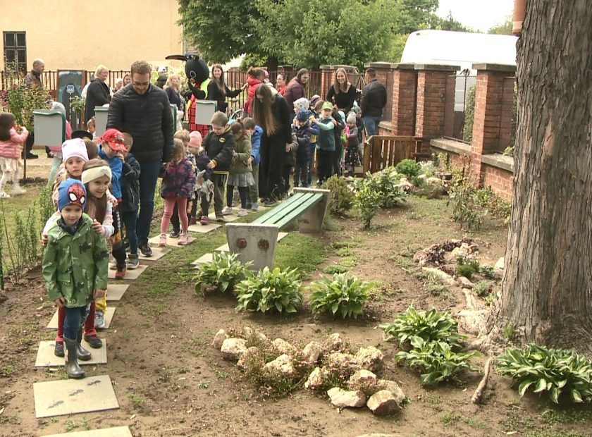 A bird walk was created in the Debrecen kindergarten