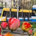 DKV timetable for the long weekend