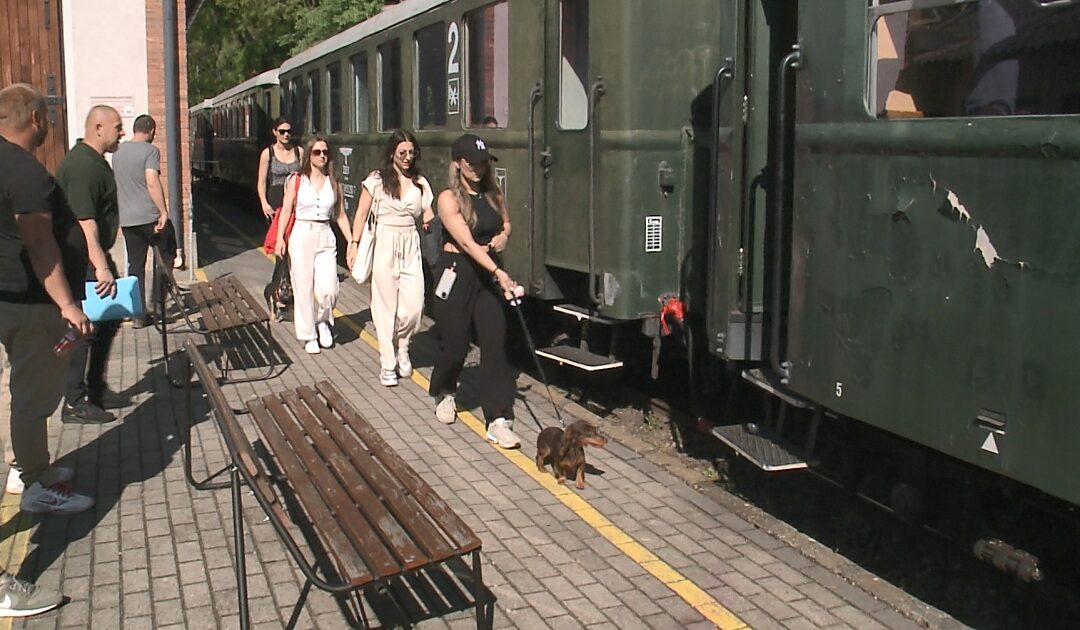Dogs can now travel for free on Zsuzsi trains