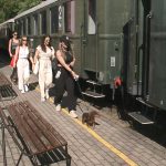 Dogs can now travel for free on Zsuzsi trains