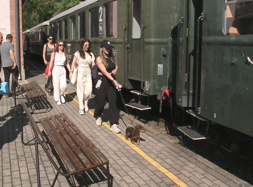 Dogs can now travel for free on Zsuzsi trains
